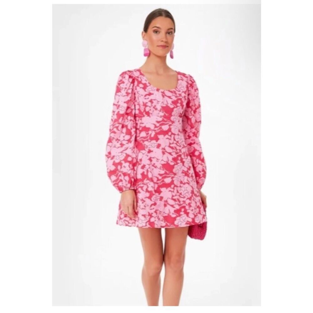 Tuckernuck Hyacinth house Sienna pink ballon sleeve mini dress S